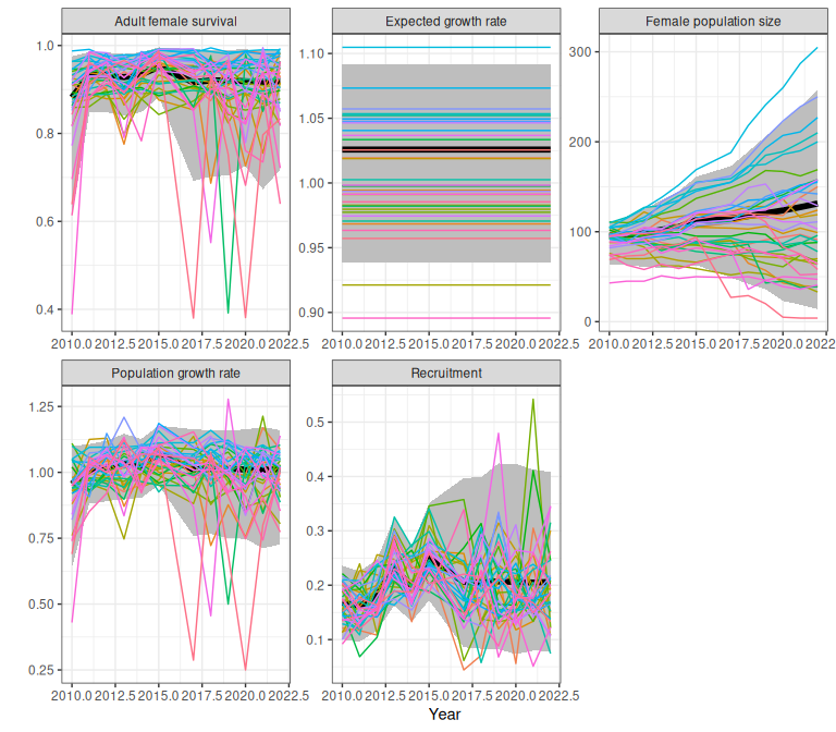 Example demographic trajectories from a fitted bboutools model, obtained using the trajectoriesFromBayesian wrapper function, with initial population size of 100. Bands are 95% predictive intervals.