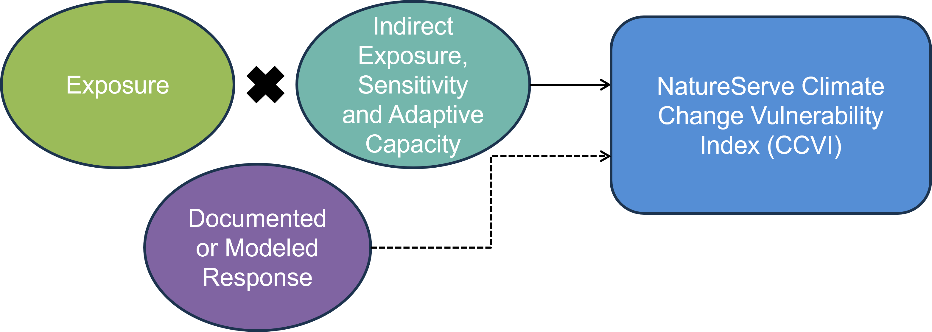 The NatureServe CCVI is calculated by combining exposure to climate change with indirect exposure, sensitivity and adaptive capacity to determine the CCVI index value. Documented or modelled responses to climate change can also be incorporated.